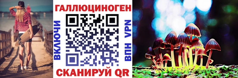 Псилоцибиновые грибы мухоморы  наркота  Нерчинск 